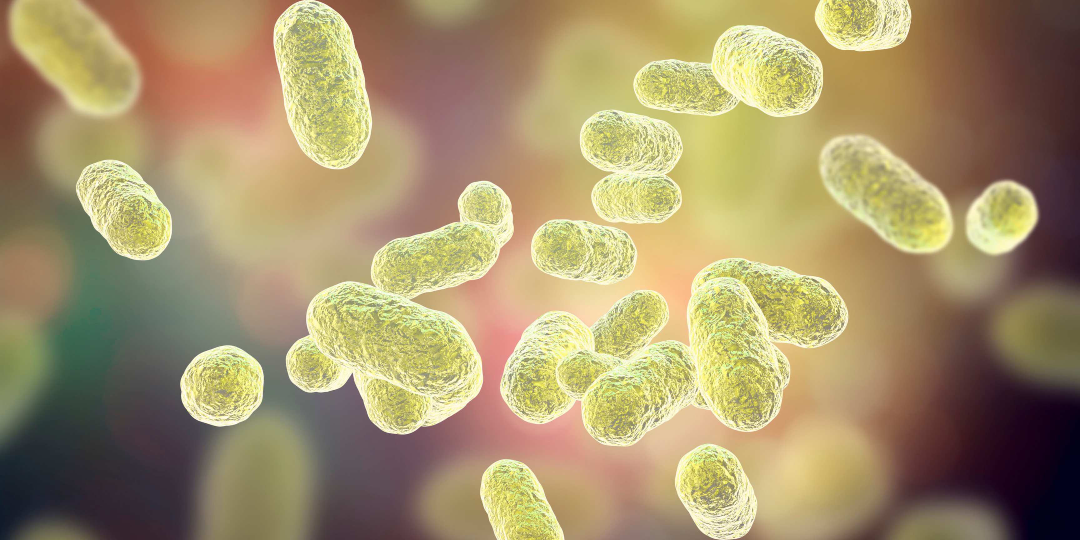 Skin Microbiome