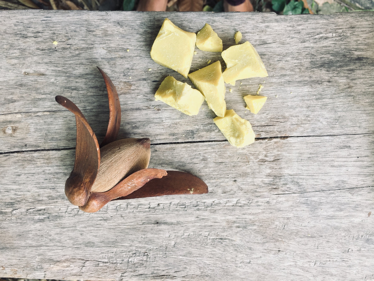 Shorea Shorea Butter: A Borneo Treasure – MOIN